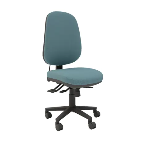 Multi-functional High Back Task Chair - Black Base - No Arms - Resistance